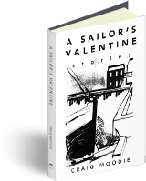 A Sailor's Valentine book cover
